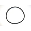Washer Drive Belt