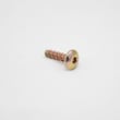 Washer Screw