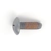 Dryer Screw 6001-001668