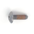 Dryer Screw 6001-001668