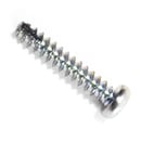 Dryer Screw