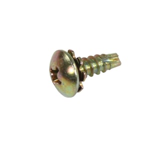 Screw Assembly 6006-001172