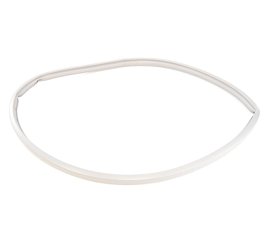 Dryer Door Seal