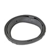 Washer Door Boot DC64-02174A