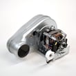 Dryer Motor and Blower Assembly