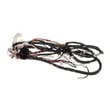 Kenmore Dryer Internal Wire Assembly for Kenmore 40582272420 - Part 17438200001124
