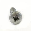 Washer Screw