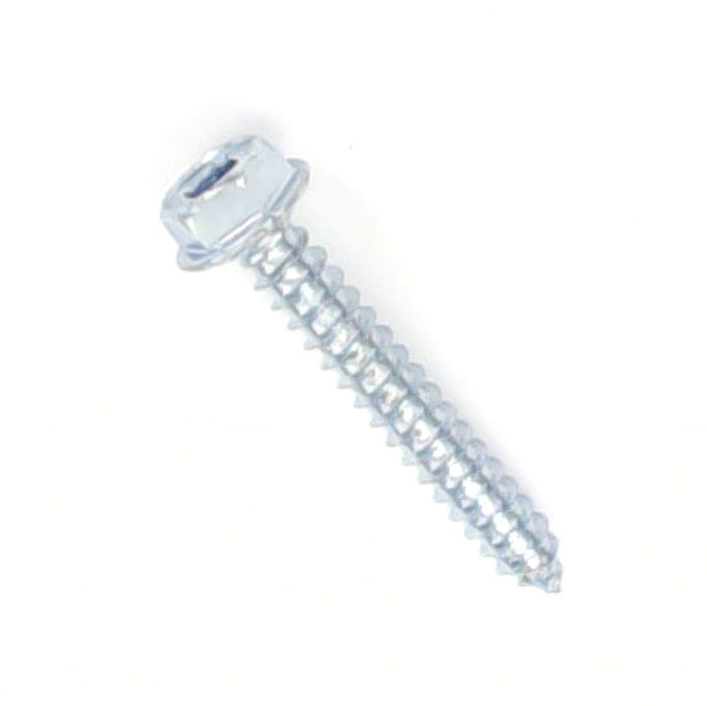 Washer Screw