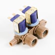 Gibson Washer Water Inlet Valve for Frigidaire GLWS1649AS2 - Part 131900200