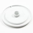 Pntr-wht/g for Gibson GWS1339CS0 - Part 131978203