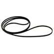 Dryer Drum Belt 134503900