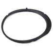 Washer Door Trim Ring 134551300