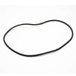 Dryer Door Glass Seal 134580300