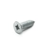 Washer Screw 137380600