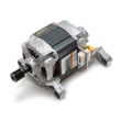 Washer Drive Motor 137248100