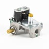 Kelvinator Dryer Gas Valve Assembly 5303207409
