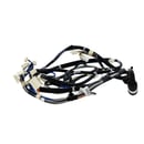 Laundry Center Wire Harness