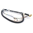 Fisher & Paykel Washer Drain Hose and Wire Harness Assembly