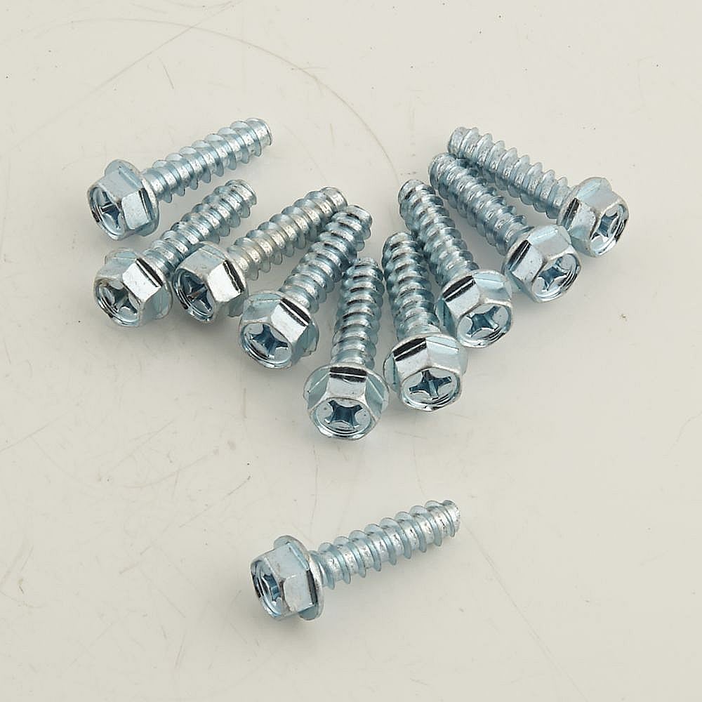 Dryer Screw, 1/4 x 1-in, 10-pack