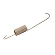Washer Suspension Spring 21001598