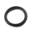 Washer Seal 22002417