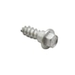 Washer Screw 21001510