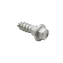 Washer Bolt