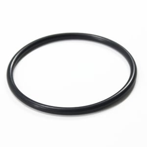 Washer O-ring Seal 25001105