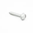 Washer Screw 33002973