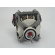 Dryer Drive Motor 35001080