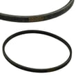 Belt 40053601