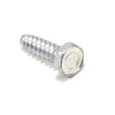 Washer Screw