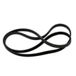 Drive Belt 00439491