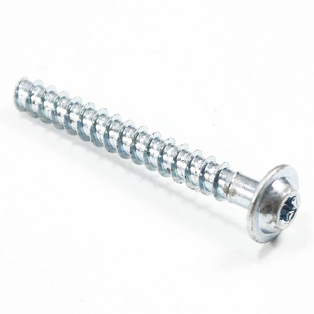 Washer Screw 422236