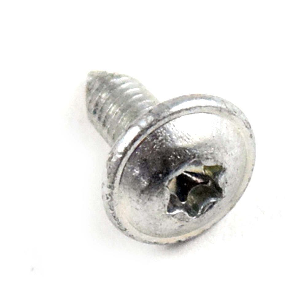 Washer Screw