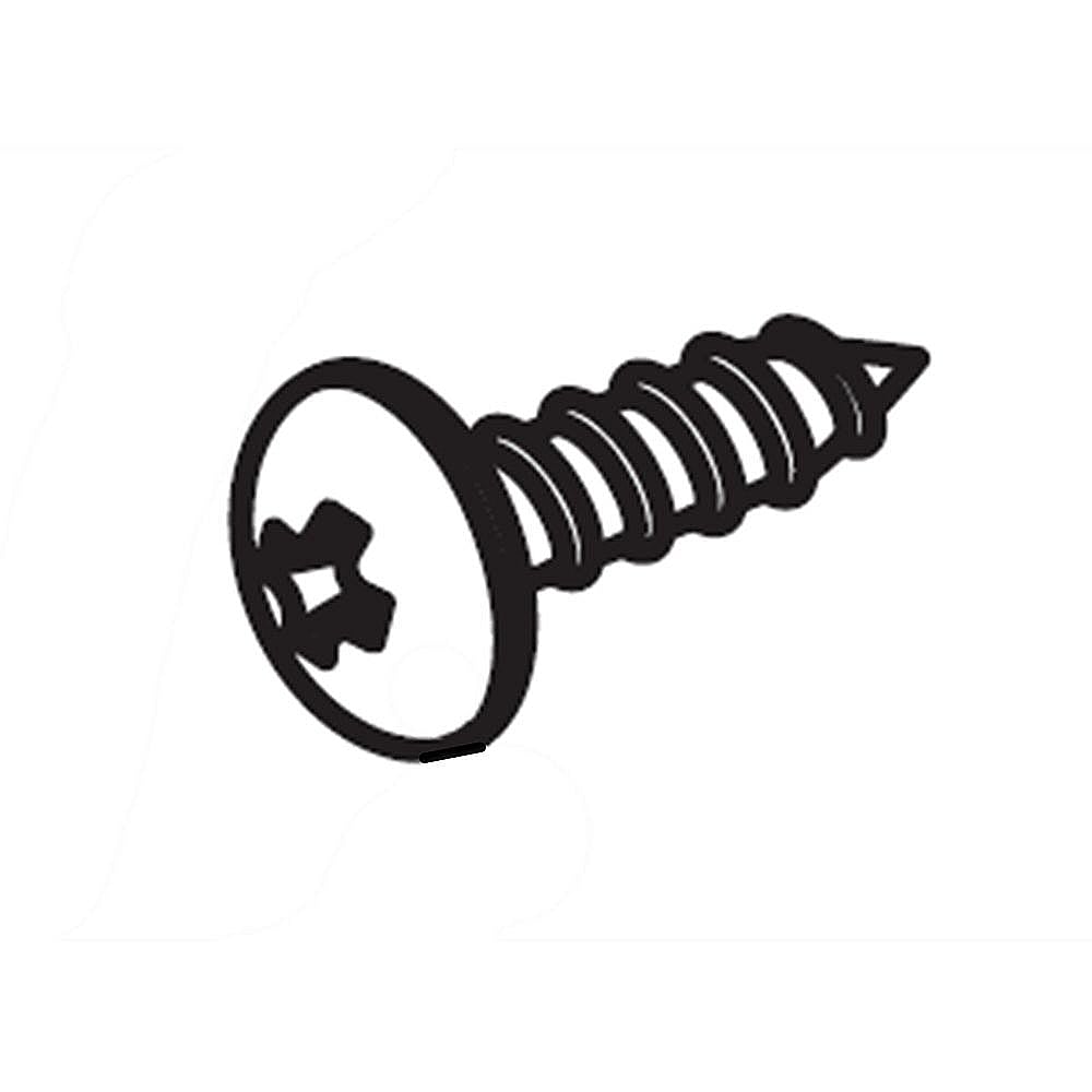 Dryer Screw