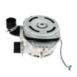 Dishwasher Pump and Motor Assembly