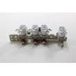 Washer Water Inlet Valve for LG WT1001CW - Part AJU72912213