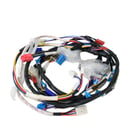 Washer Wire Harness