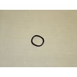 Elliptical Washer 204489