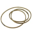Husqvarna Lawn Tractor Ground Drive Belt, 1/2 X 98-1/2-in 532110883
