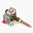 Water Heater Gas Control Valve 9002123005