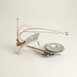 Water Heater Manifold Door And Burner Assembly 9003552005