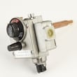 Gas Valve 9006384