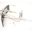 Water Heater Manifold Door Assembly 9006138005