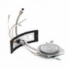 Water Heater Manifold Door And Burner Assembly (replaces 9006621, 9006621005) 9006621005