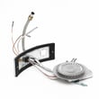 Water Heater Manifold Door And Burner Assembly for State GPX50YXRT200 - Part 9006621005