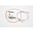 Water Heater Lp Pilot Burner And Igniter for State GPX50HXRT201 - Part 100111381