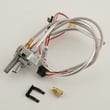 American Water Heaters Water Heater Pilot Assembly 9007876005