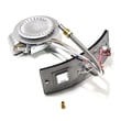 Water Heater Manifold Door And Burner Assembly 9007905
